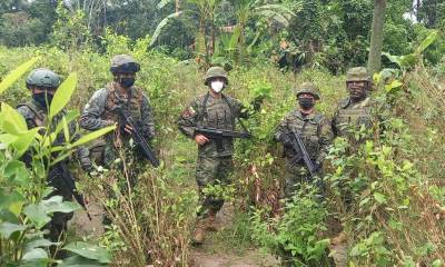 Fuerzas Armadas localizaron 20 mil plantas de coca en Sucumbíos / foto: cortesía Fuerzas Armadas
