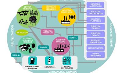 la economía circular juega un doble papel: producir bioenergía y/o ser fuente para recuperación de materias prima / Gráfico: IIGE