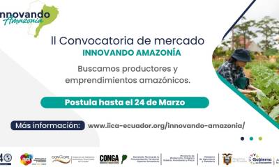 ‘Innovando Amazonía’ busca más productos de la región / Foto: Innovando Amazonía