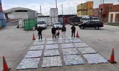 La droga fue incautada en uno de los terminales portuarios de la provincia de Guayas / Foto: cortesía Policía Nacional 