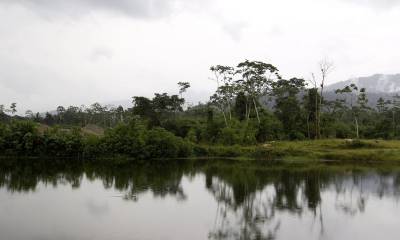 Noruega destinará $ 3,7 millones para reforestación en la región amazónica / Foto: EFE