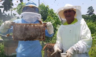 La apicultura crece en Napo / Foto: cortesía Ministerio de Agricultura