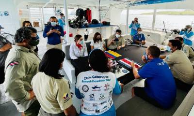 La expedición de "migravía" marina entre Ecuador y Costa Rica llega a Galápagos / Foto: Cortesía Ministerio de Ambiente