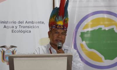 Con la implementación de los procesos de restauración forestal en Arajuno, aproximadamente 250 familias se beneficiarán / Foto: cortesía ministerio de Ambiente 