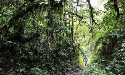 El guía Byron Noteno es una de las personas que constantemente se sumerge en la selva. Foto: El Comercio