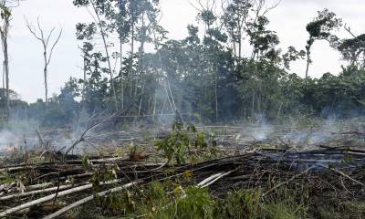 La mayor pérdida de bosque natural se presentó en el "arco de la deforestación" que comprende los departamentos de Meta, Caquetá, Guaviare y Putumayo/ Foto: cortesía EFE