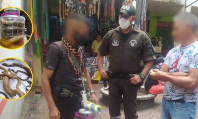 Ciudadano fue sentenciado a un año de prisión por vender brebaje elaborado con serpientes / Foto: cortesía MAATE
