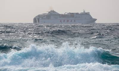 "Casi todas las especies están afectadas. En el mar, los seres vivos están adaptados a usar el sonido para casi todo, porque hay muchas zonas del océano donde apenas llega la luz" / Foto: EFE