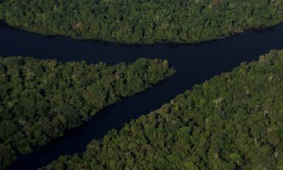 La Amazonía cumple una década como maravilla natural del mundo / Foto: EFE