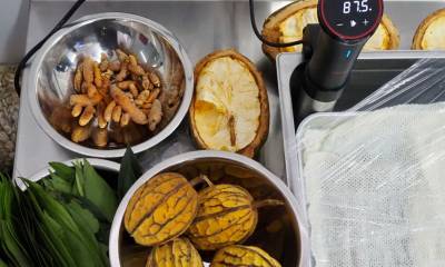 Es muy densa en proteína, rica en fibra, omega 9, antioxidantes libres de nueces/ Foto: Cortesía Canopy Bridge