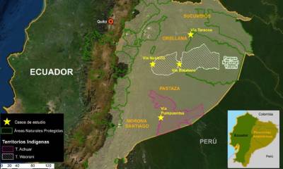 MAAP advierte de una acelerada apertura de carreteras en las provincias amazónicas / Foto: cortesía MAAP