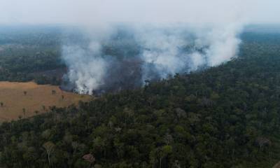 Cerca de 300 incendios registrados en la Amazonía desde inicios de 2021 / Foto: EFE