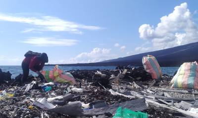 3,6 toneladas de basura fueron recogidas en isla Isabela / Foto: EFE