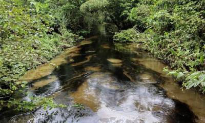 Petroecuador anuncia el inicio de investigaciones; la Conaie menciona que se trata de un desastre ambiental/ Foto: cortesía Confeniae