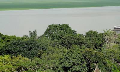Científicos alertan que la Amazonía está próxima a entrar en un "catastrófico" punto de no retorno / Foto: EFE