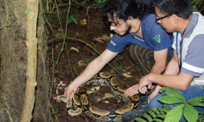 Liberaron a 24 animales silvestres - Foto: El Universo