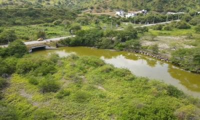 En 2001, el esterillo Oloncito fue declarado “área de bosque y vegetación protectores” / Foto: cortesía Fundación La Iguana