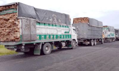 11 vehículos retenidos en Tiwintza por presunto transporte ilegal de madera / Foto: Cortesía del Ministerio de Ambiente