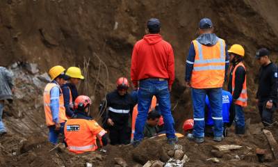 La medida comprende 152,22 hectáreas en zonas de Namza Chico, Pazán, Quebrada La Ninfa, UE Eloy Alfaro y Puente Chachán, de la parroquia Huigra/ Foto: Cortesía EFE