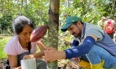 En el taller aprendieron sobre los tipos de injertos, las variedades a utilizar y las herramientas necesarias / Foto: cortesía MAG