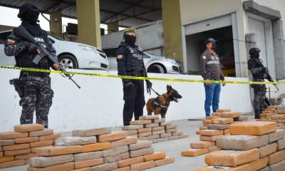 Ecuador lleva 190 toneladas de drogas decomisadas desde el comienzo del año 2022 / Foto: cortesía Policía Nacional