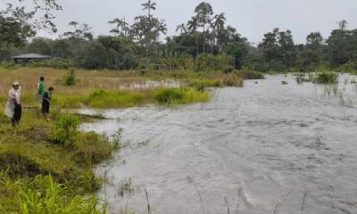 Por las intensas lluvias registradas este sábado 2 de mayo de 2020 en el cantón Morona se desbordó el río Upano. Foto: Cortesía Municipio de Morona