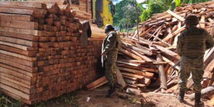 81 metros cúbicos de madera balsa se incautaron en los cantones Shushufindi y Cuyabeno