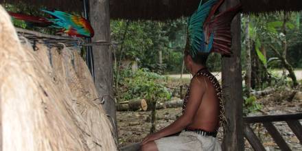 Indígenas amazónicos, vulnerables a la pandemia