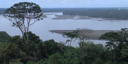 10 curiosidades de la Amazonía ecuatoriana