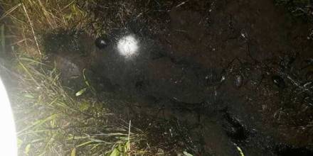 Un nuevo derrame de petróleo en Sucumbíos