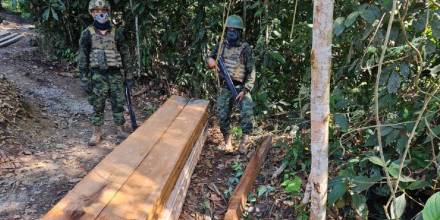 La tala ilegal de madera avanza en la Amazonía