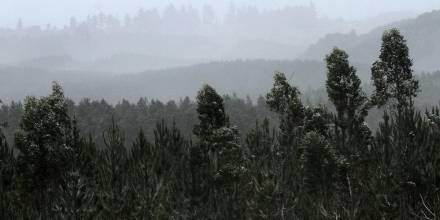 Cotopaxi presenta emisiones continuas de ceniza