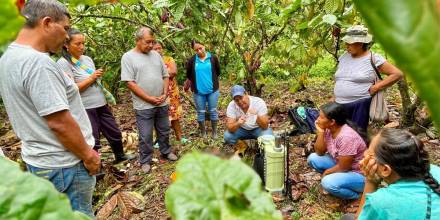Napo: Productores de cacao en Pano fueron capacitados