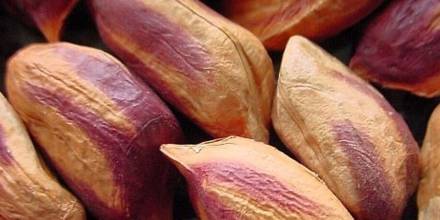 Este producto lo han cultivado agricultores de las nacionalidades shuar y achuar desde sus ancestros/ Foto: Cortesía 