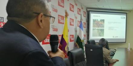 Sucumbíos recibió $ 4 millones en 2023 para mejorar su red vial