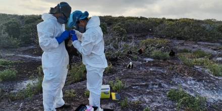 Autoridades evalúan reapertura al turismo de Isla Genovesa