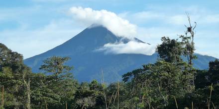 Estudio revela amplia biodiversidad de bacterias en volcán Sumaco / Foto: cortesía ministerio de Ambiente