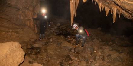 Cueva de los Tayos, un atractivo turístico misterioso en medio de la selva / Foto: El Oriente