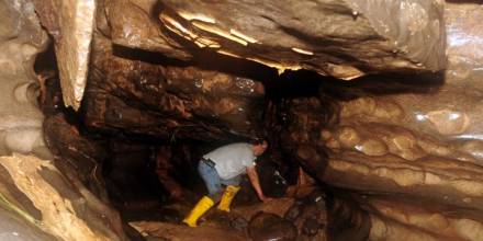 Cuyabeno y Cueva de los Tayos, en documentales