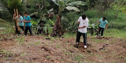  Orellana y Sucumbíos reforestan para proteger el agua 