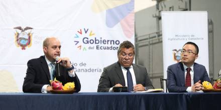 China se sumó así a los 58 países a los que llega la pitahaya ecuatoriana, pues Estados Unidos es el principal mercado de destino con el 84 % del volumen total exportado / Foto: cortesía Ministerio de Producción 