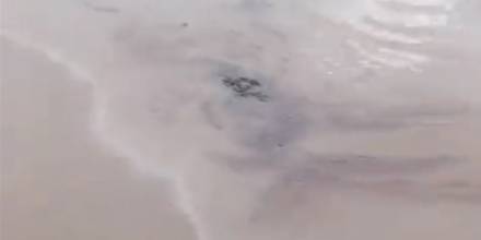 Petroecuador confirmó derrame que llegó al río Napo