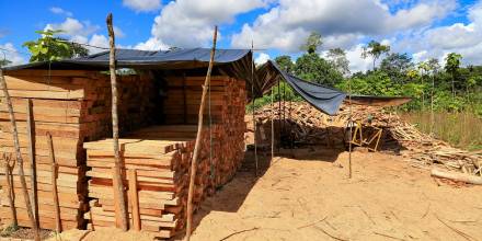 Más de 623.000 hectáreas fueron deforestadas en la Amazonía de Ecuador de 2001 a 2020 