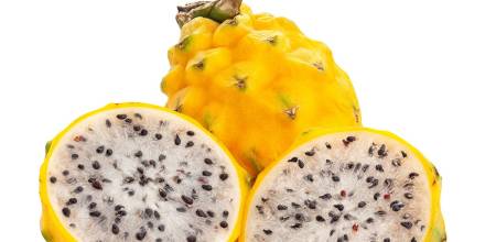 4.779 envíos de pitahaya se han logrado en 2023