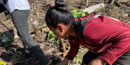 210 productores de Napo se benefician de kits de maíz de alto rendimiento