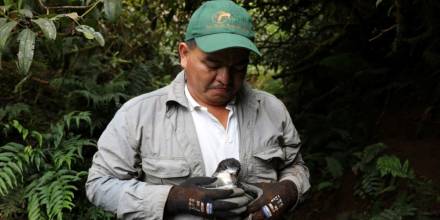 Ecuador descarta un caso sospechoso de gripe aviar en Galápagos / Foto: cortesía Parque Nacional Galápagos