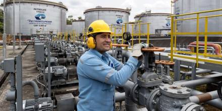 El petróleo WTI, referente de Ecuador, bajó a $ 80,60 el barril