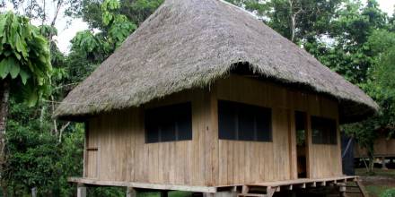 Chonta, toquilla y pambil, son los materiales usados en las casas de los indígenas amazónicos / Foto: El Oriente