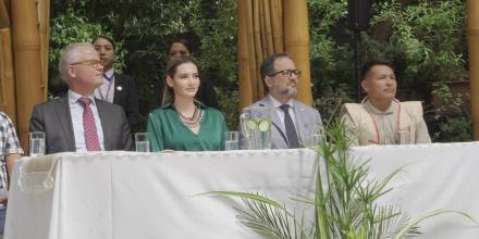 La Reserva de la Biósfera Yasuní recibirá un millón de dólares durante 50 años