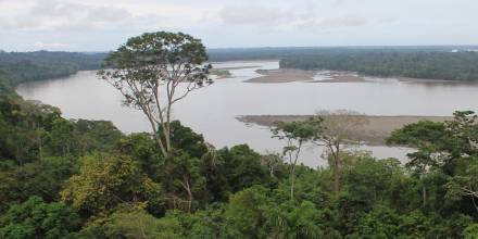 Los indígenas claman por la protección del 80 % de la Amazonía para el 2025